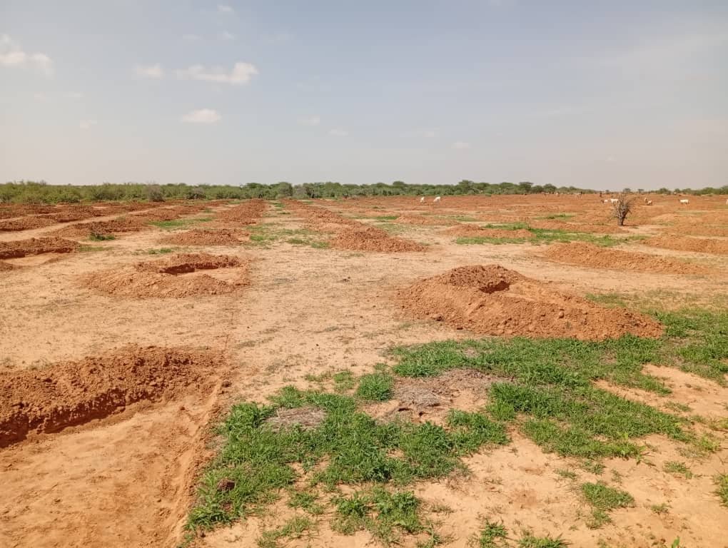 WhatsApp Image 2026-02-06 at 23.50.158