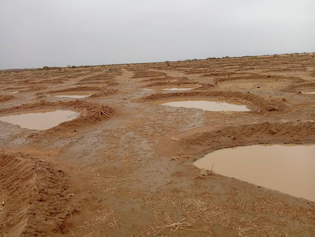 Image de sensibilisation