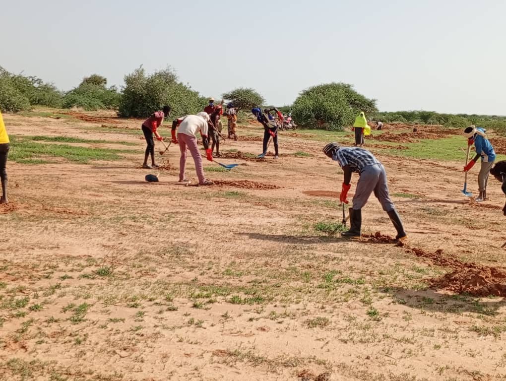 Paysage nigérien touché par la désertification